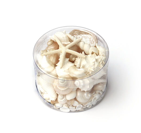 Premium Seashell Pack - Pearl Champagne